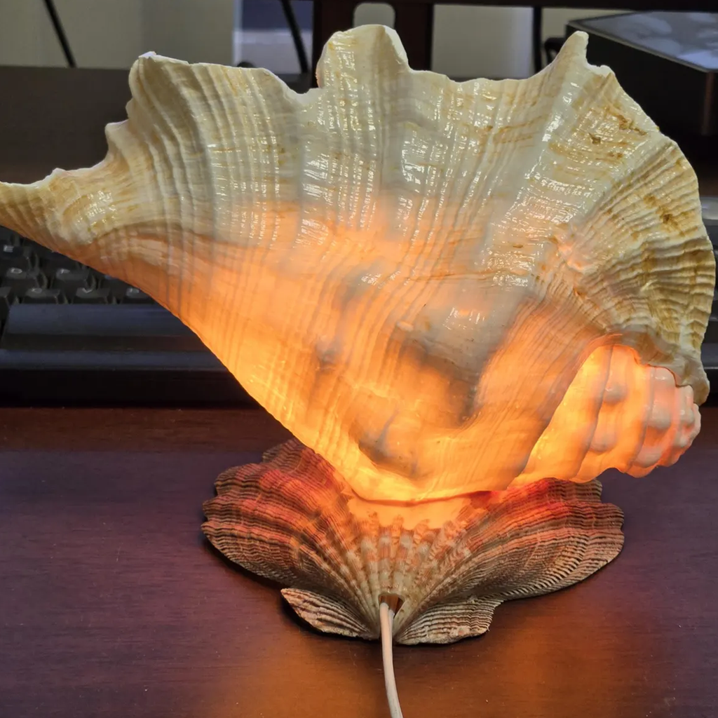 Nautical Conch Shell Table Night Light Coastal Style Accent Lamp