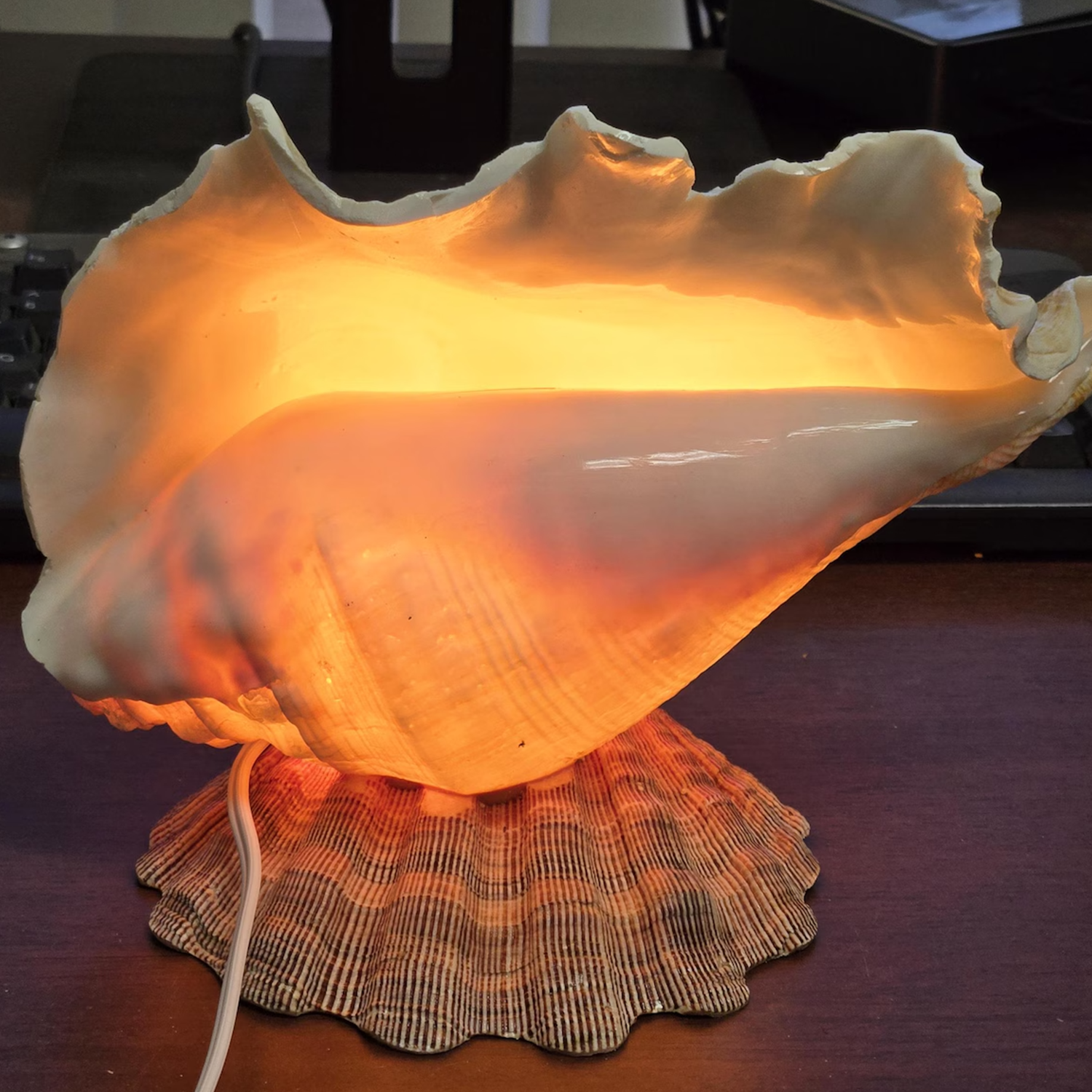 Nautical Conch Shell Table Night Light Coastal Style Accent Lamp